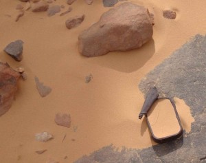 ALG D Sardine décalée D03 DSC06635L