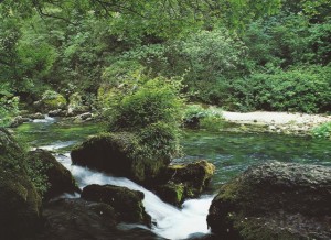 000 Source SCAN0022~1