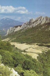 008 Dentelles SCAN0173~1