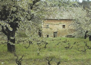 032 vieux mas SCAN0152~1