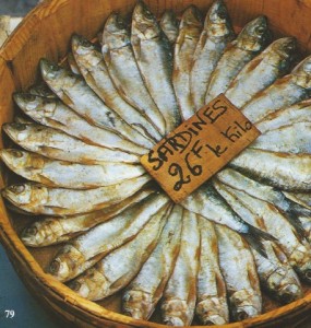 079 Sardines SCAN0112~1