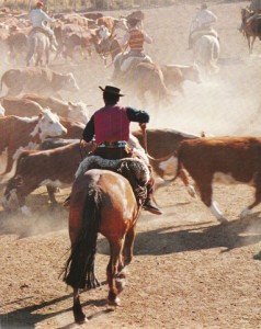 Gauchos Livre français_0010