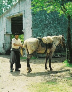 Gauchos Livre français_0062
