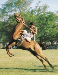 Gauchos Livre français_0109