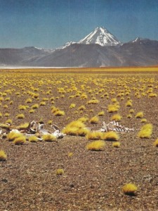 Gauchos Livre français_0149