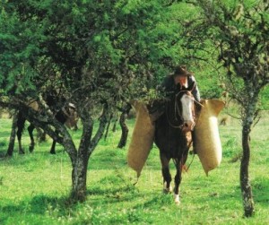 Gauchos Livre français_0150a