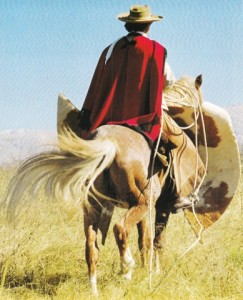 Gauchos Livre français_0158