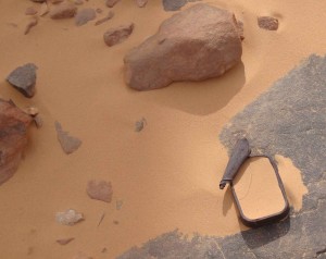 D03 DSC06635L Sardine